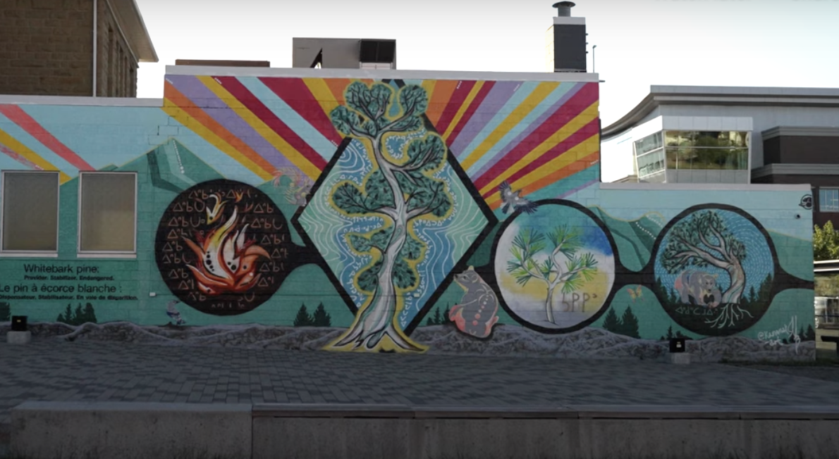 indigenous art mural in calgary