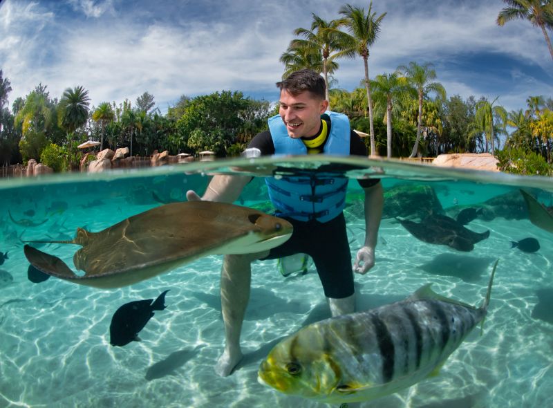 Discovery Cove Launches 2026 Bookings With 40% Off