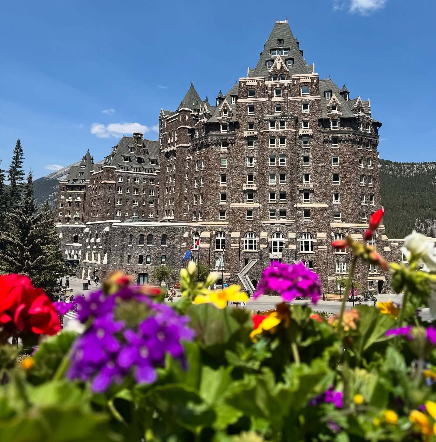 Try This: Banff Community Impact Program